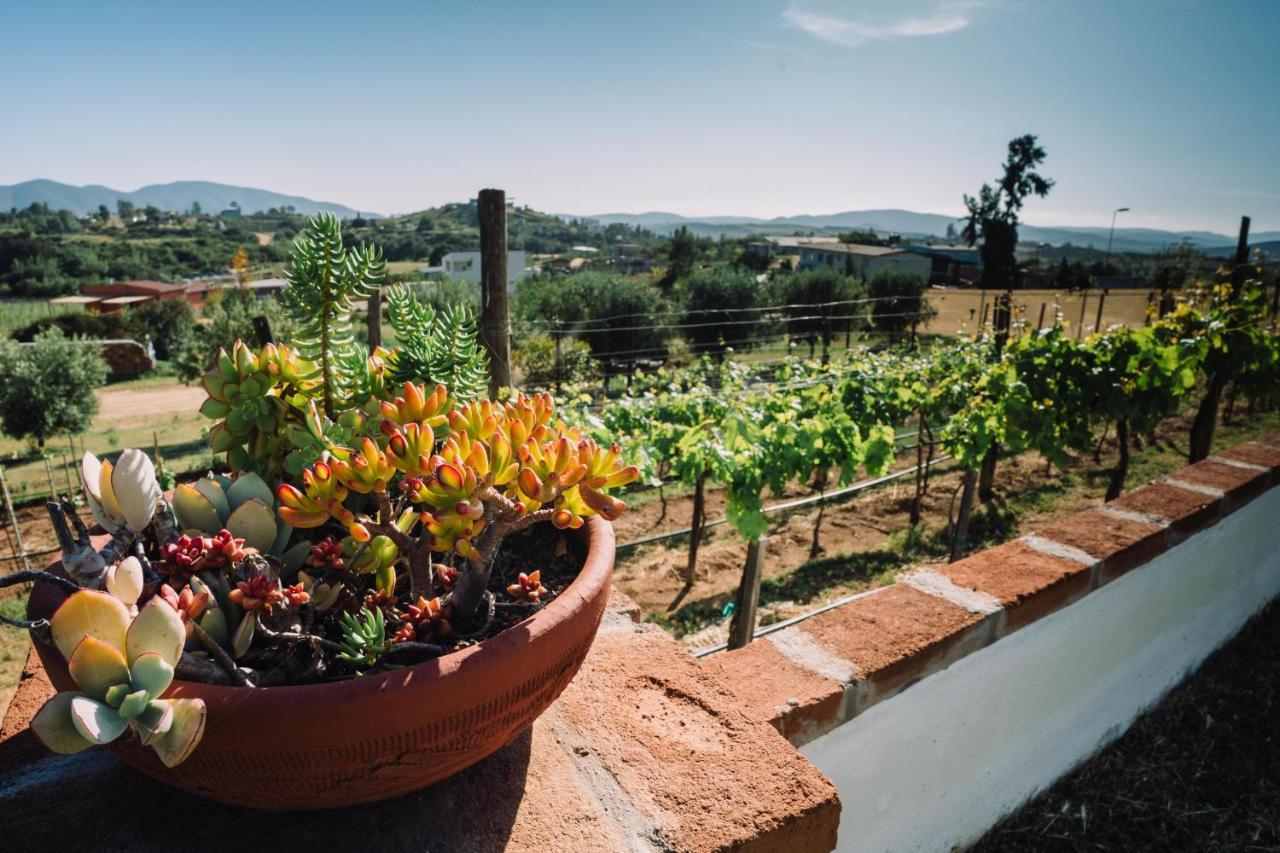 Quinta Sofia Valle De Guadalupe (Adults Only) Eksteriør bilde
