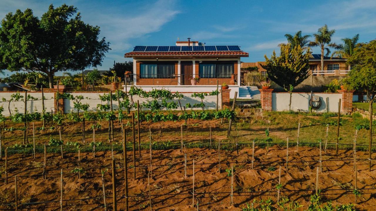 Quinta Sofia Valle De Guadalupe (Adults Only) Eksteriør bilde