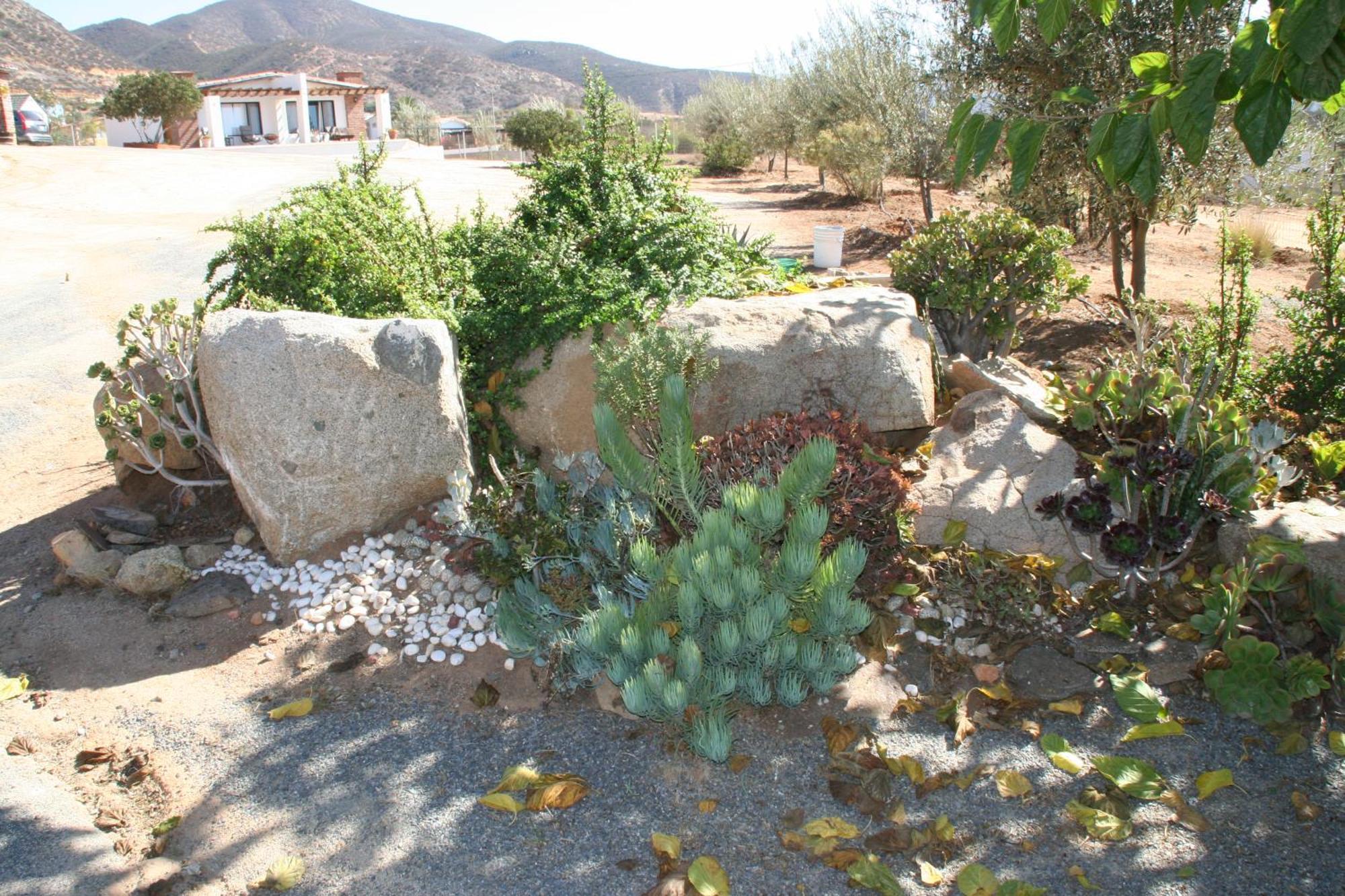 Quinta Sofia Valle De Guadalupe (Adults Only) Eksteriør bilde