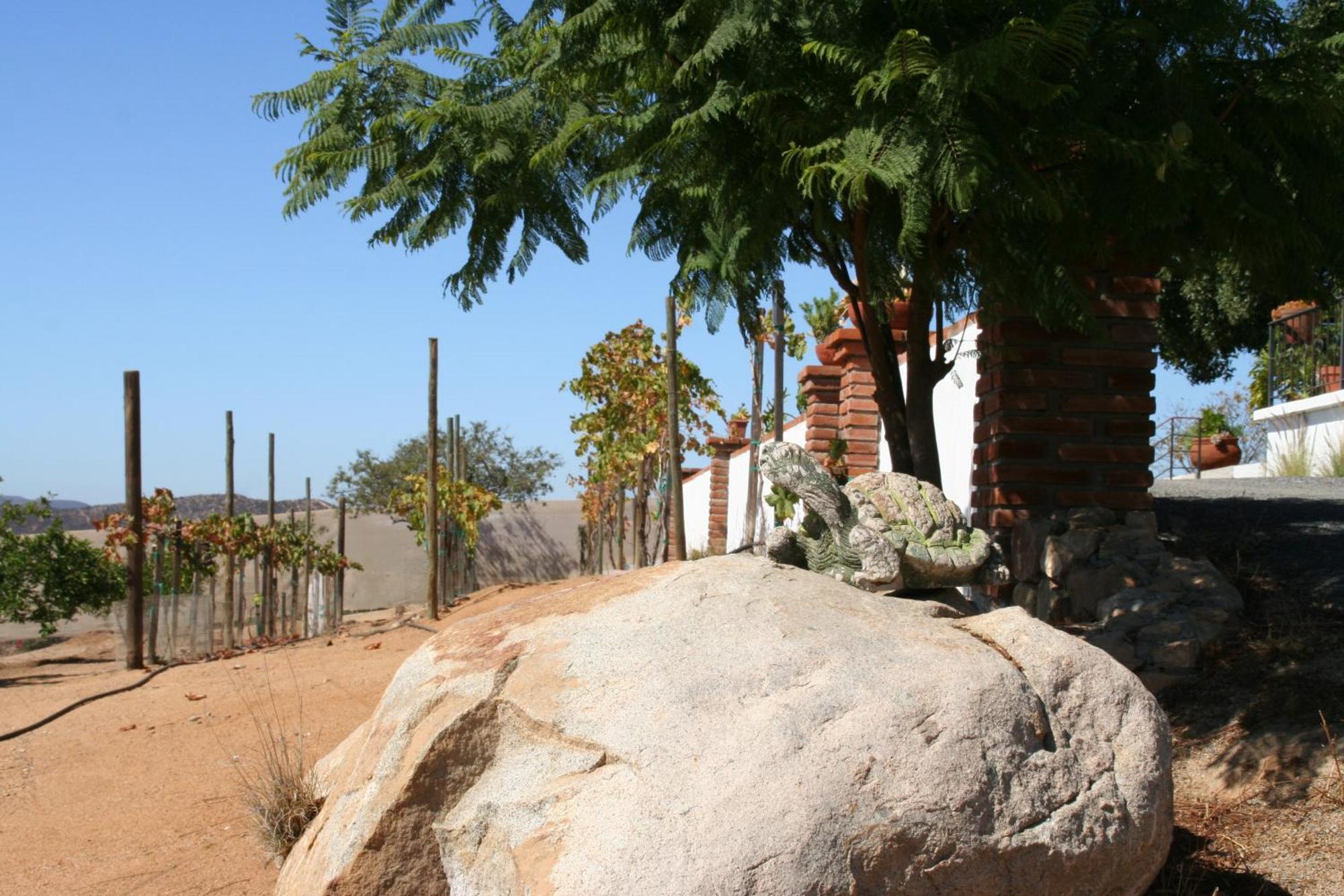 Quinta Sofia Valle De Guadalupe (Adults Only) Eksteriør bilde