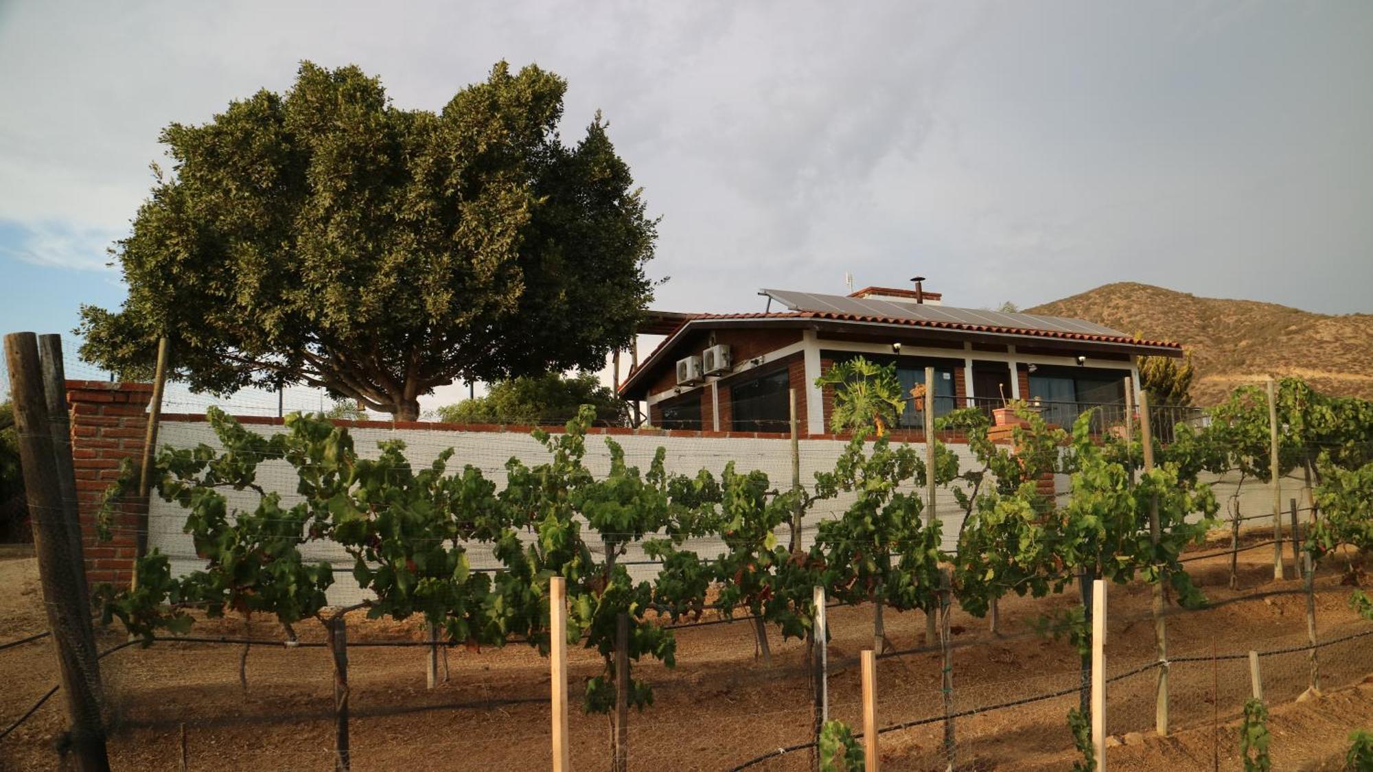 Quinta Sofia Valle De Guadalupe (Adults Only) Eksteriør bilde