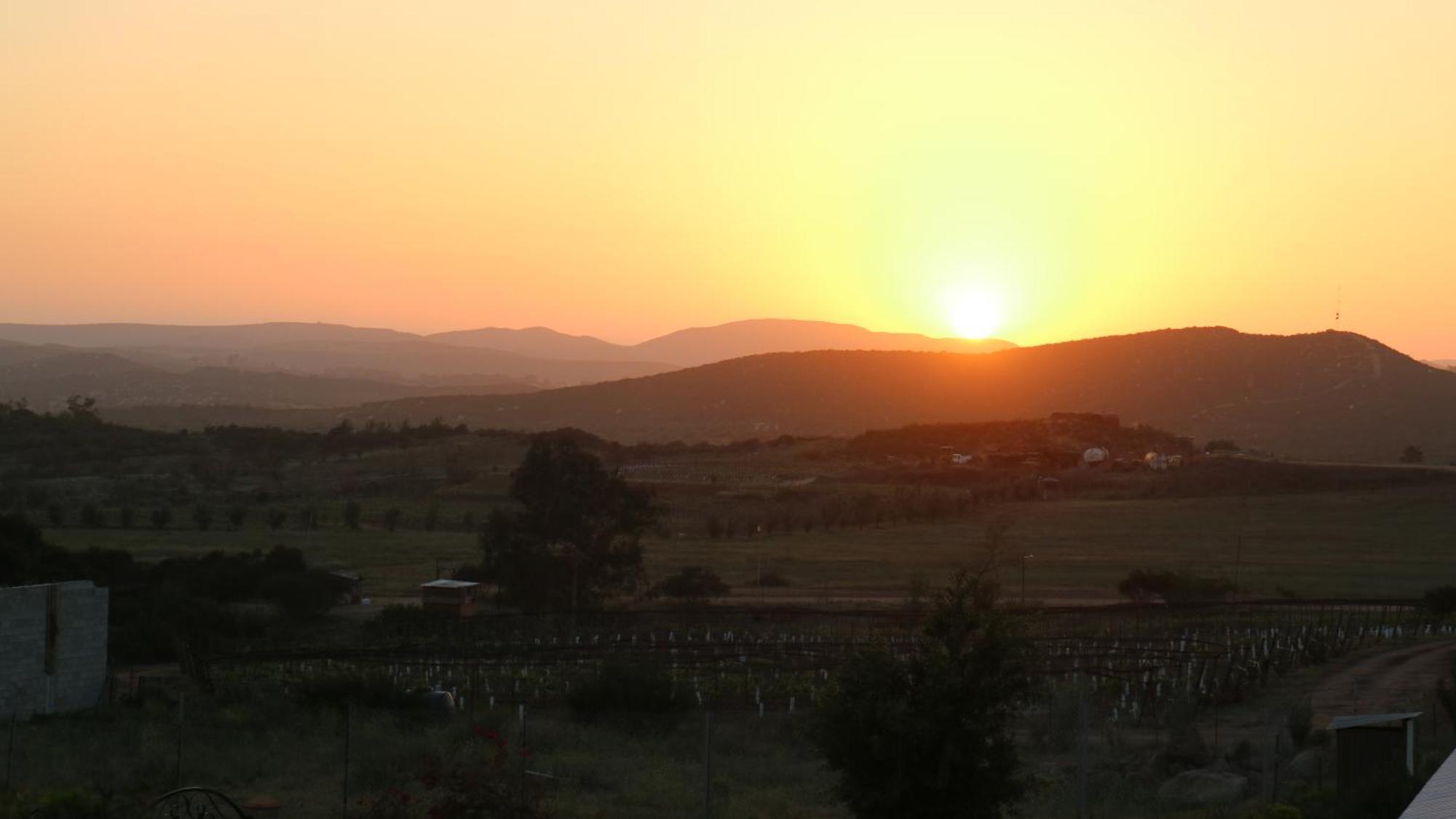 Quinta Sofia Valle De Guadalupe (Adults Only) Eksteriør bilde