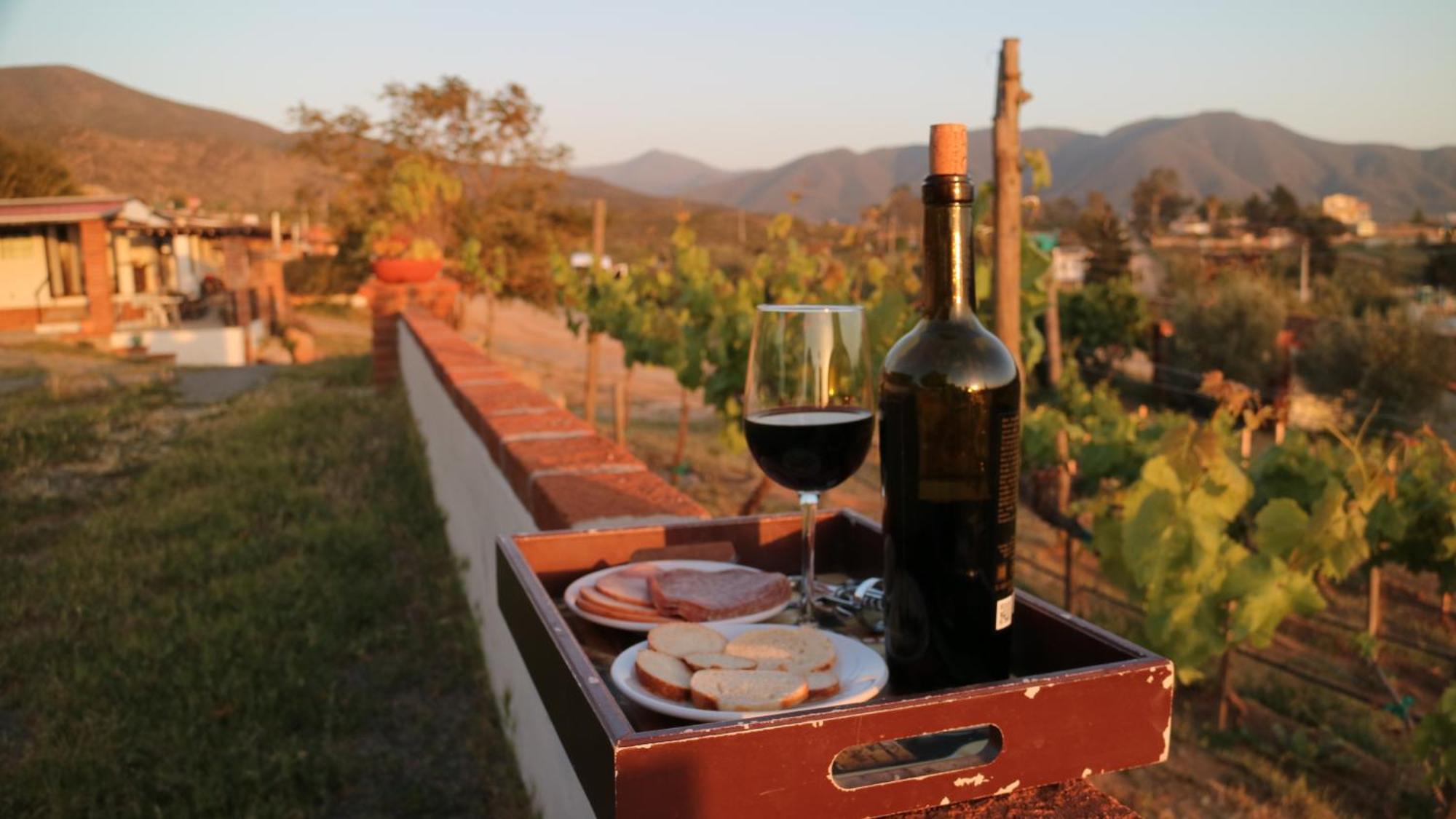 Quinta Sofia Valle De Guadalupe (Adults Only) Eksteriør bilde